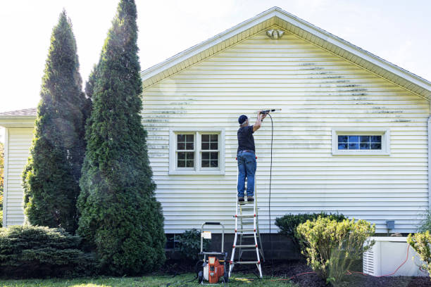 Best Solar Panel Cleaning  in Seabrook Farms, NJ